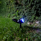 ESTACA SOLAR RGB PARA JARDÍN 3.7V IP65